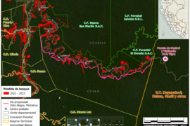 MAAP #190: Proyecto de nueva carretera amenaza una Reserva Territorial de Pueblos Indígenas en aislamiento en Perú