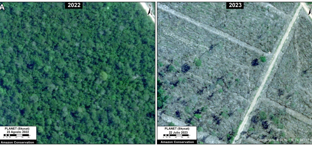 MAAP #192: Confirmando la Deforestación Menonita en la Amazonía Peruana