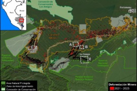 MAAP #195: Gold Mining Deforestation in the Southern Peruvian Amazon, 2021-2023