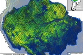 MAAP #199: Carbono en la Amazonía, basado en los datos GEDI de la NASA