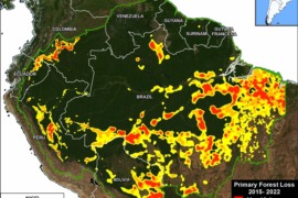 MAAP #200: Estado de la Amazonía en 2024