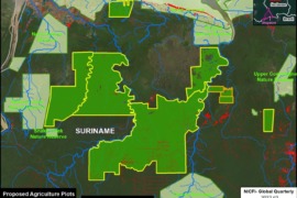 MAAP #203: Massive Planned Deforestation in Amazon of Suriname