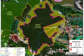 MAAP #205: Situación Actual de la Reserva Comunal Amarakaeri (Amazonia Peruana)