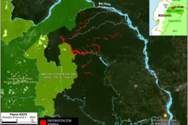 MAAP #206: Rapid expansion of illegal mining in Ecuadorian Amazon