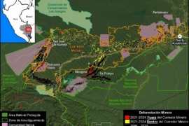 MAAP #208: Minería de Oro en la Amazonía peruana sur, resumen 2021-2024