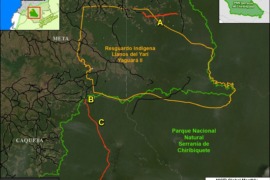 MAAP #211: Illegal roads and Deforestation in Indigenous Reserves & National Parks of the Colombian Amazon